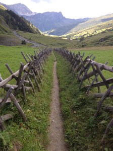 12_Flechtzaun Thalkirch