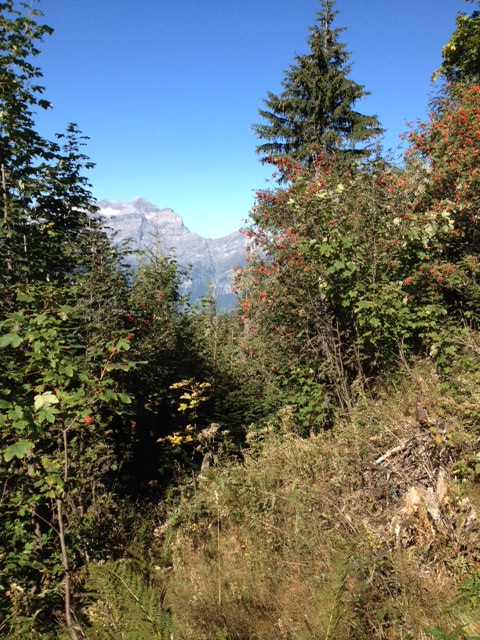 Weissenberge3