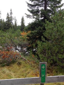 04_Alp Flix Lai da Neir