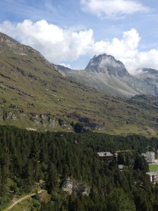 06_Grevasalvas nach Maloja_IMG_1130