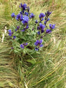 10_Fuorcla da la Valletta_IMG_1162