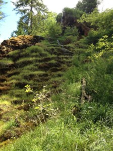 2017_07_Tüfels Chilen