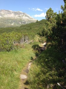 2017_08_01_San Bernadino -1