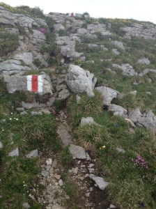 2017_21.06._Zwinglipass