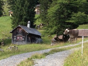 2017_Juli_Aufstieg Windenpass