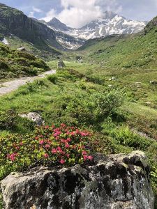 2018_06_15_Landschaft_wildmadfurggeli_web