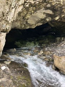 2018_06_15_Wildmadfurggeli Kärpfbrücke_web