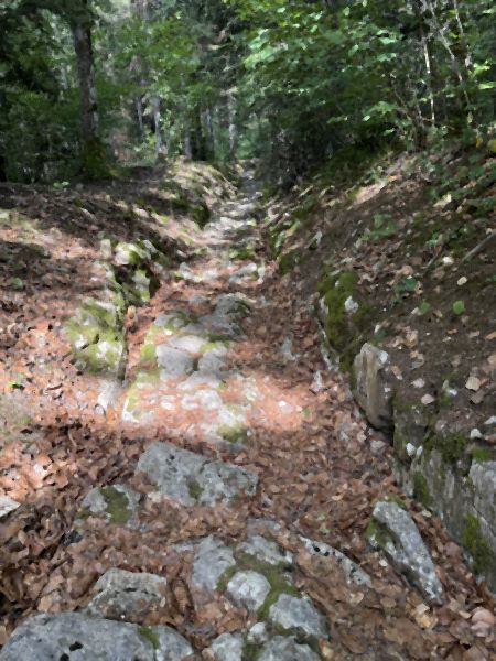 Die Wagenspuren in Ballaigues